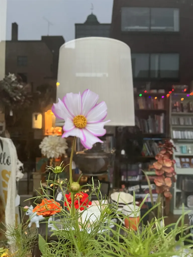 16 Tremont Street Claremont NH 03743