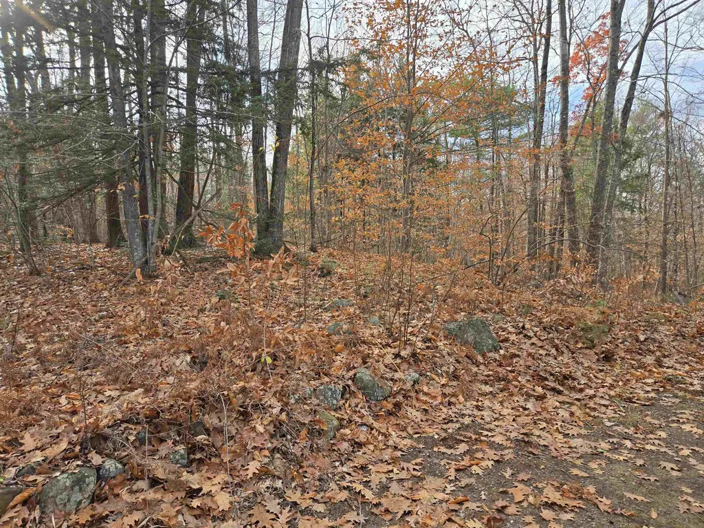 23 Liscomb Circle Gilford NH 03249