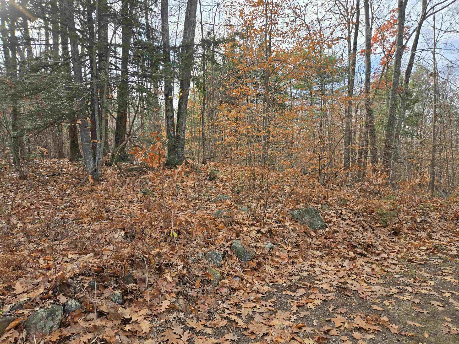 23 Liscomb Circle Gilford NH 03249