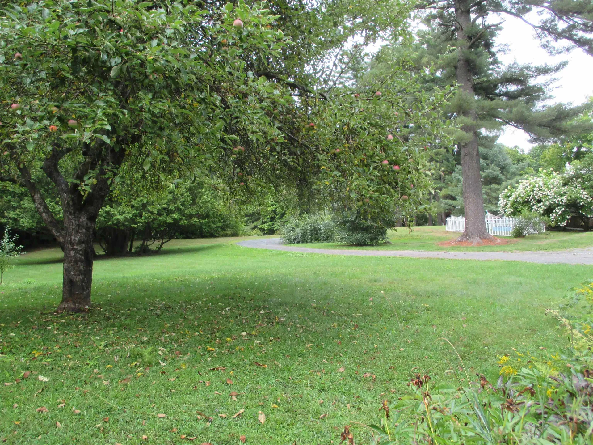 38 B Berkley Street Bethlehem NH 03574