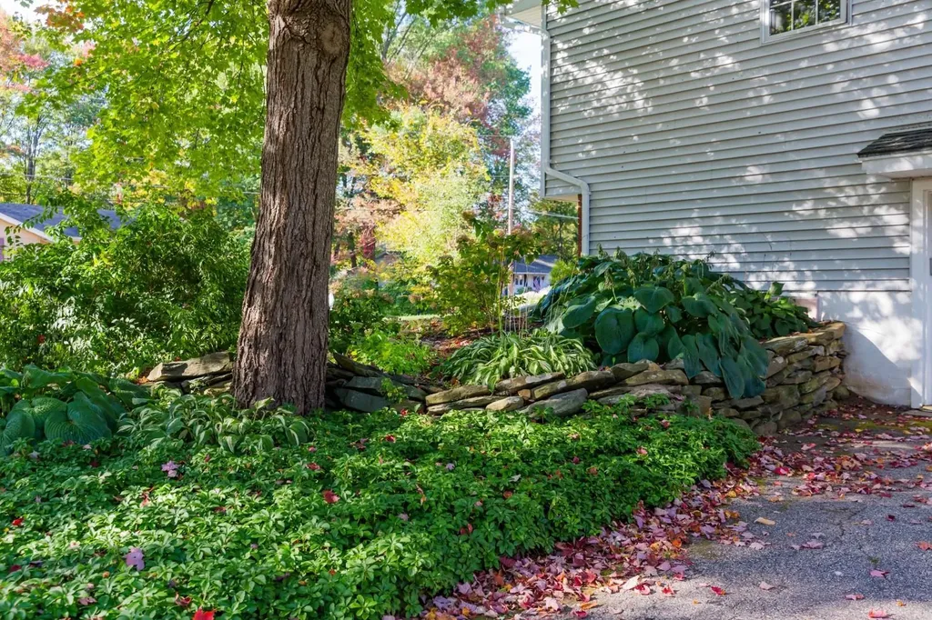 20 Andrews Avenue South Burlington VT 05403