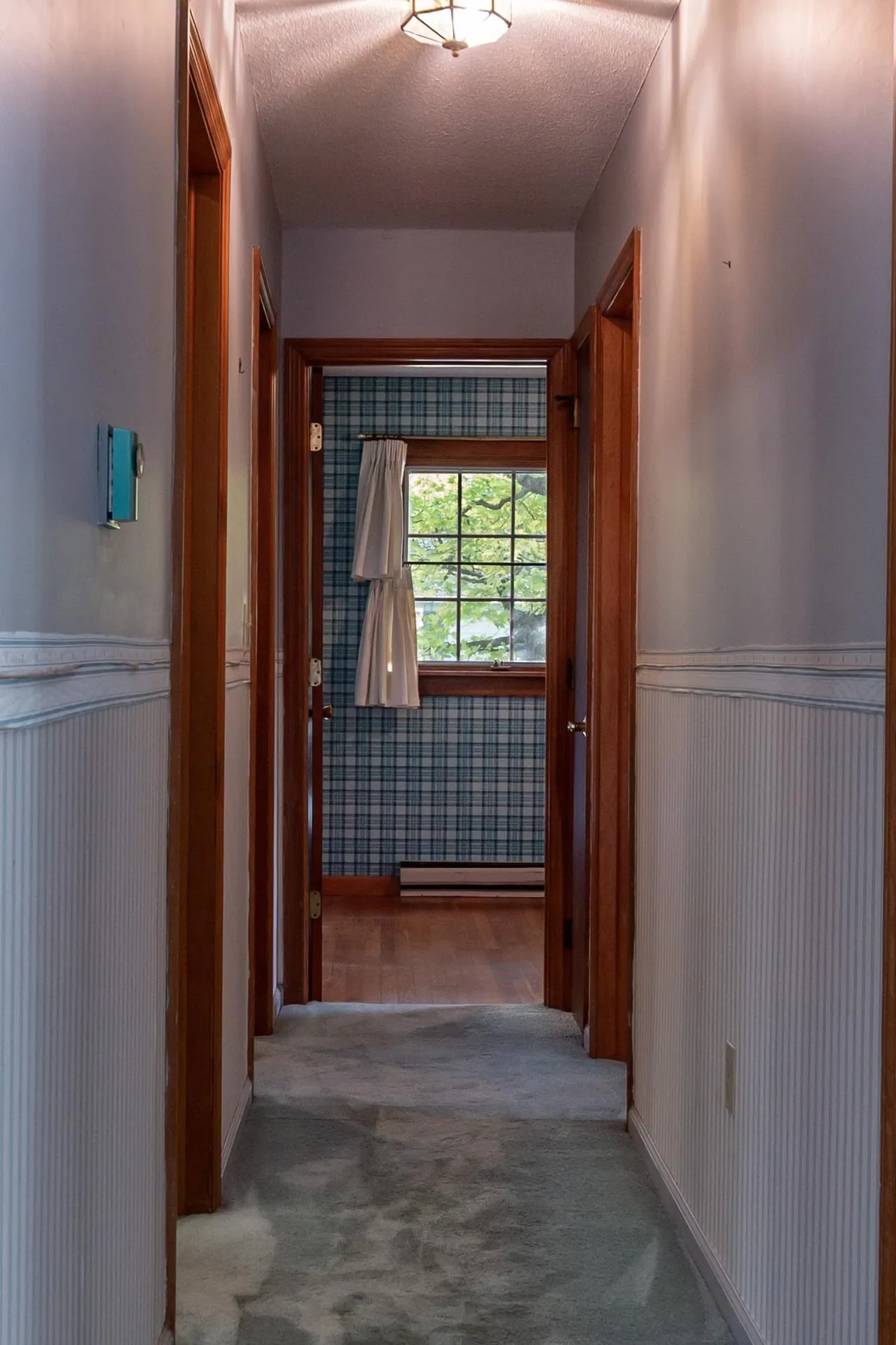 20 Andrews Avenue South Burlington VT 05403