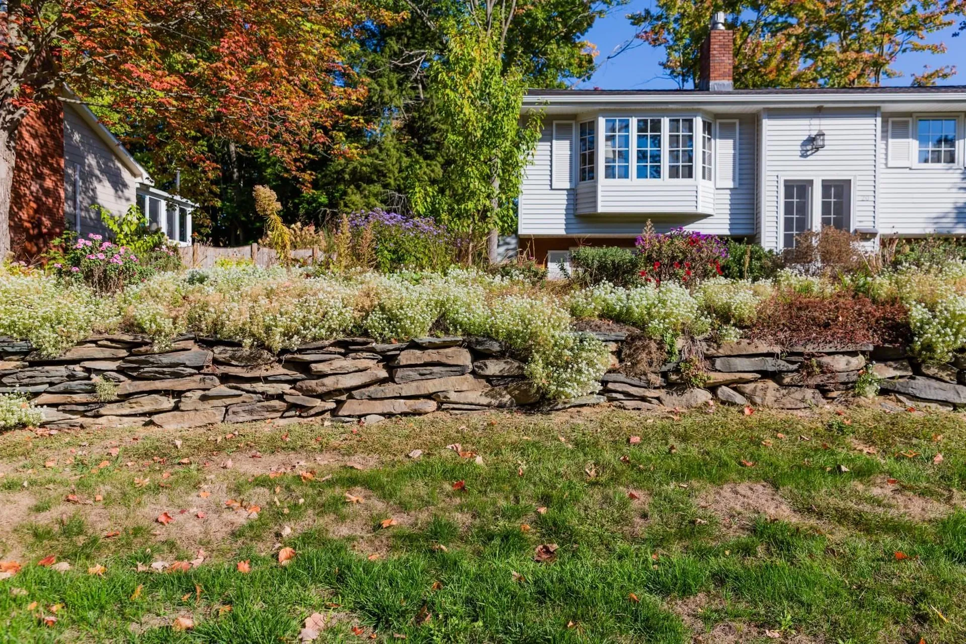 20 Andrews Avenue South Burlington VT 05403