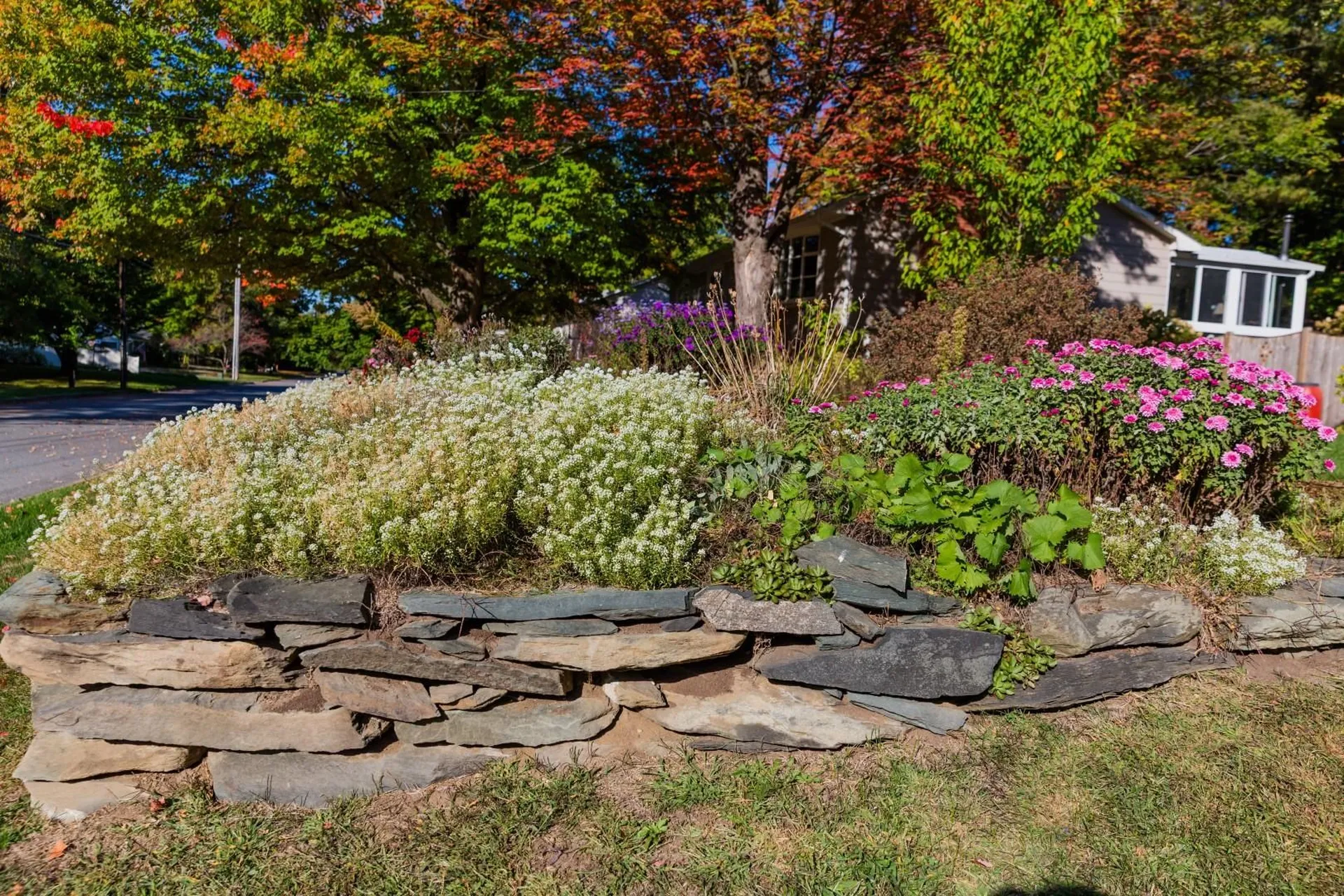 20 Andrews Avenue South Burlington VT 05403