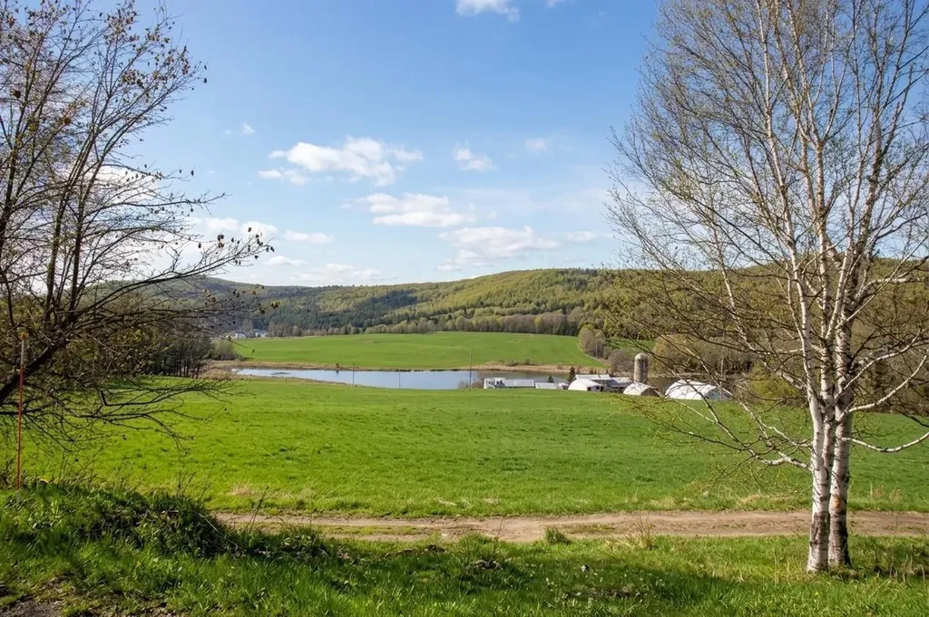 433 Young Farm Road Peacham VT 05862