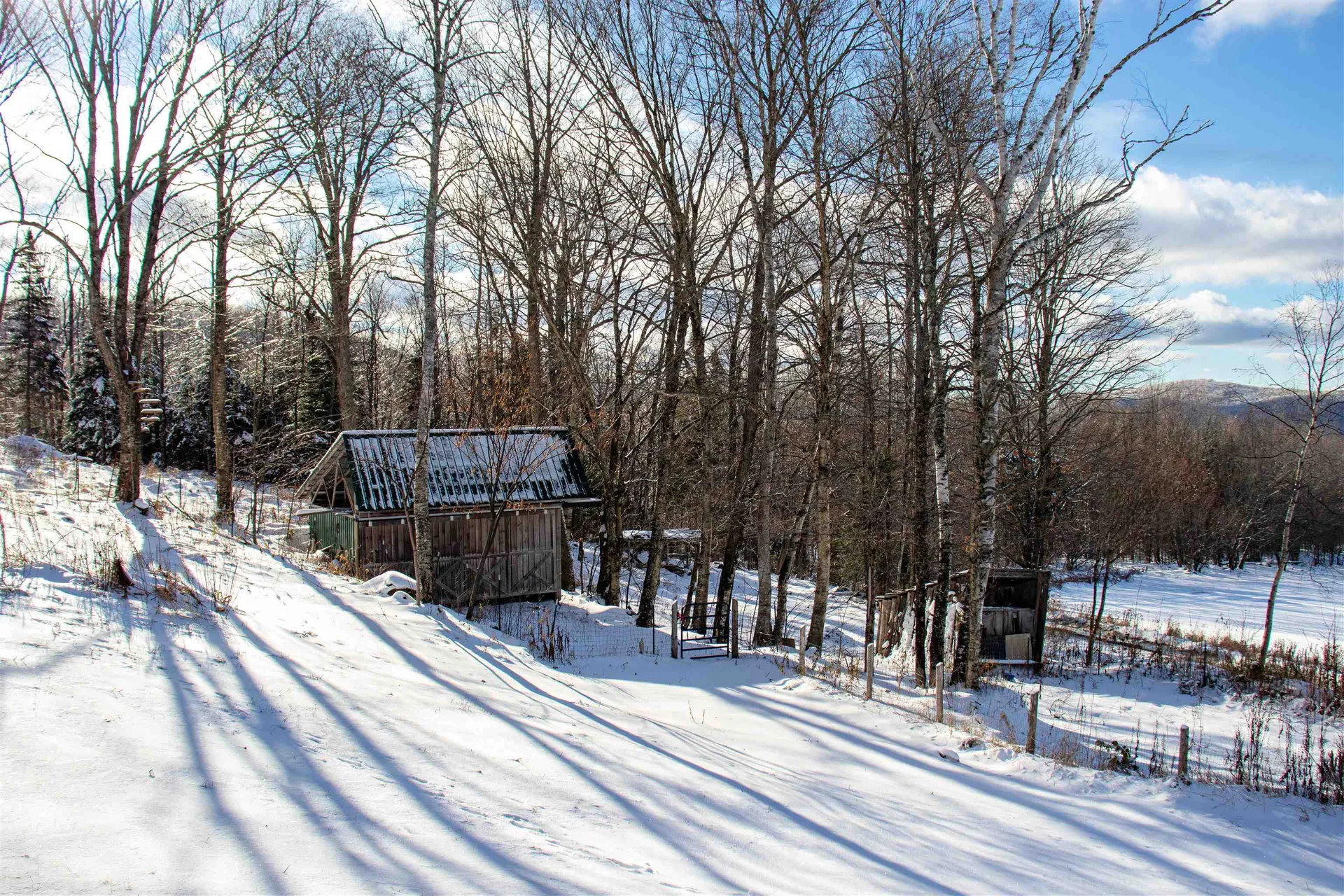 433 Young Farm Road Peacham VT 05862