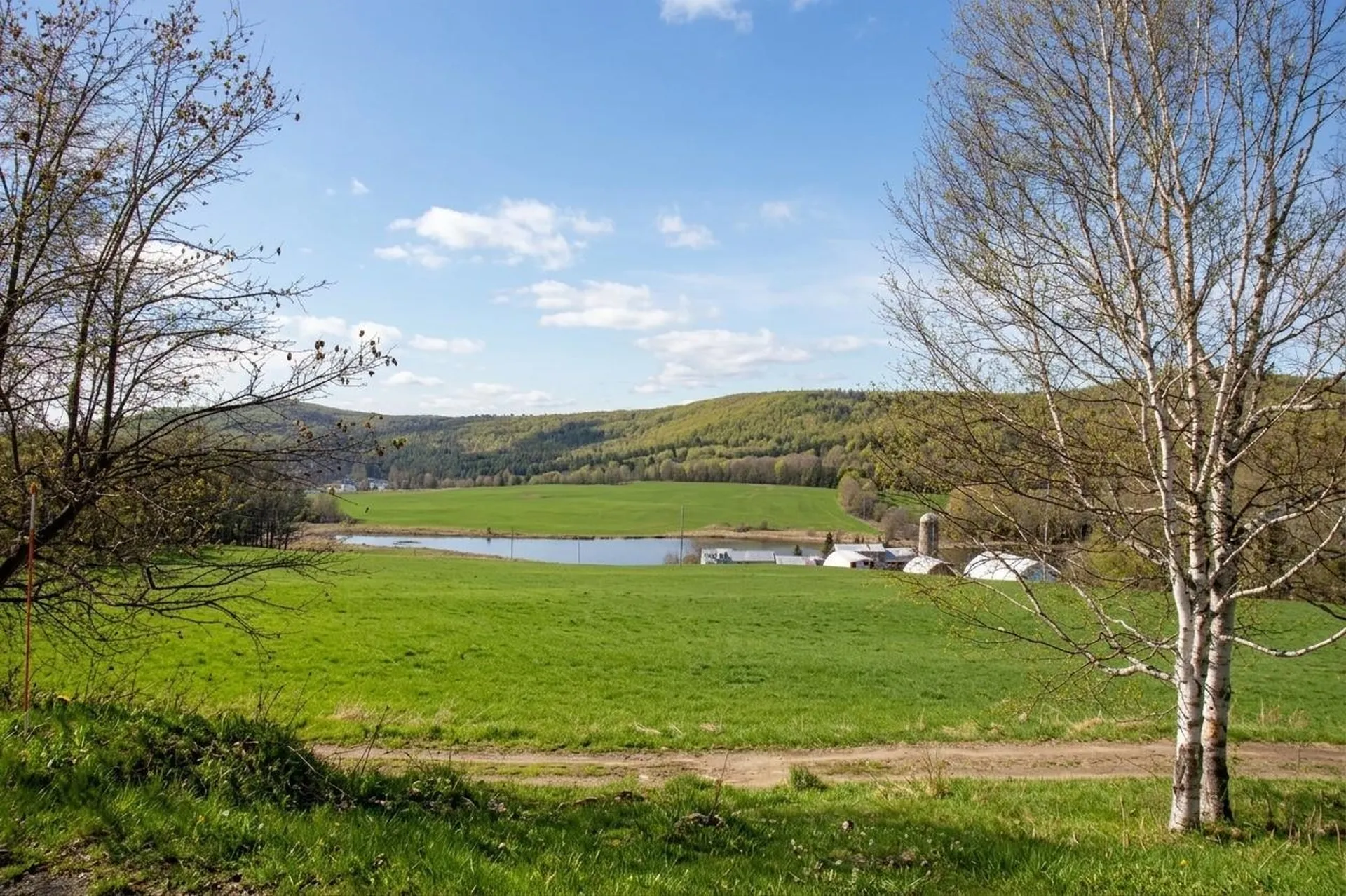 433 Young Farm Road Peacham VT 05862