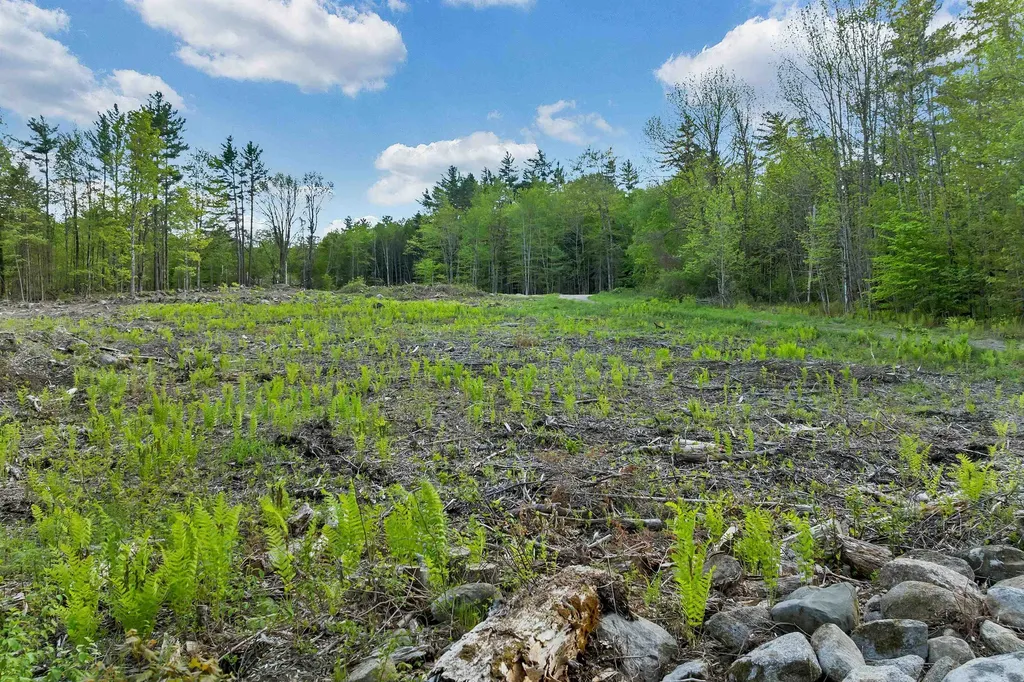 73 Ellsworth Hill Road Campton NH 03223