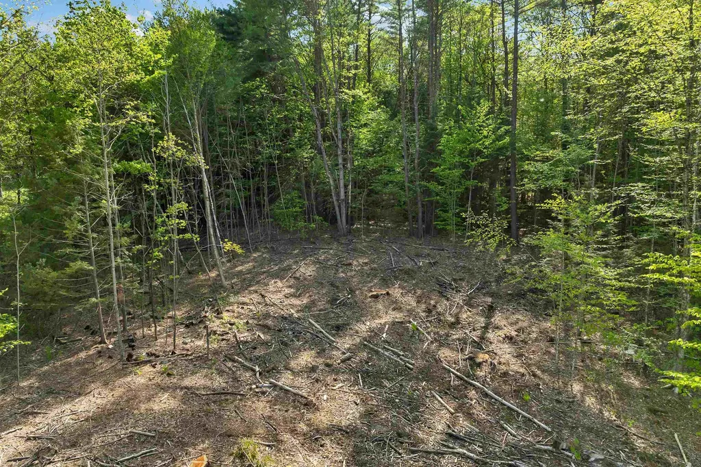 73 Ellsworth Hill Road Campton NH 03223