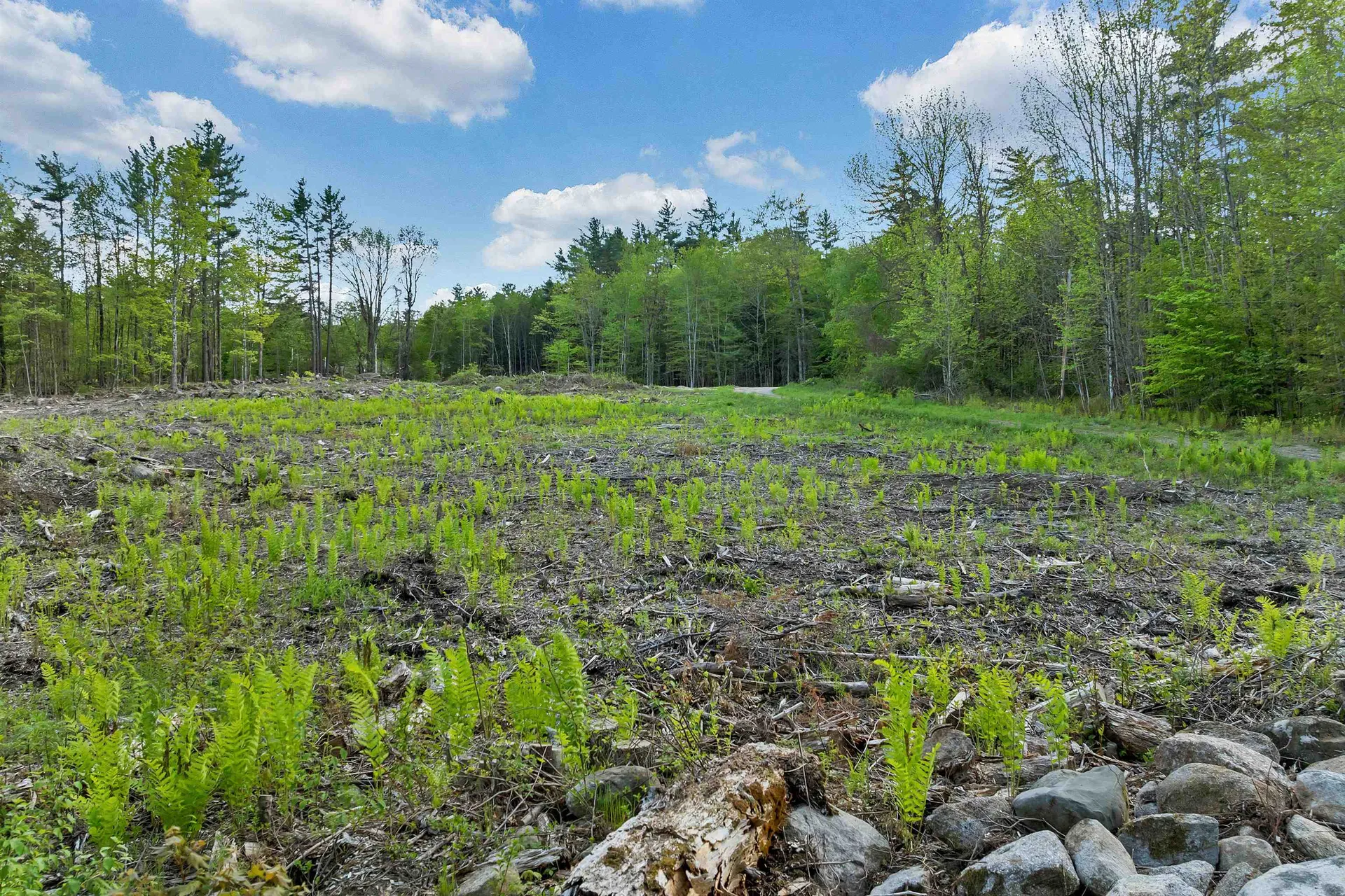 73 Ellsworth Hill Road Campton NH 03223