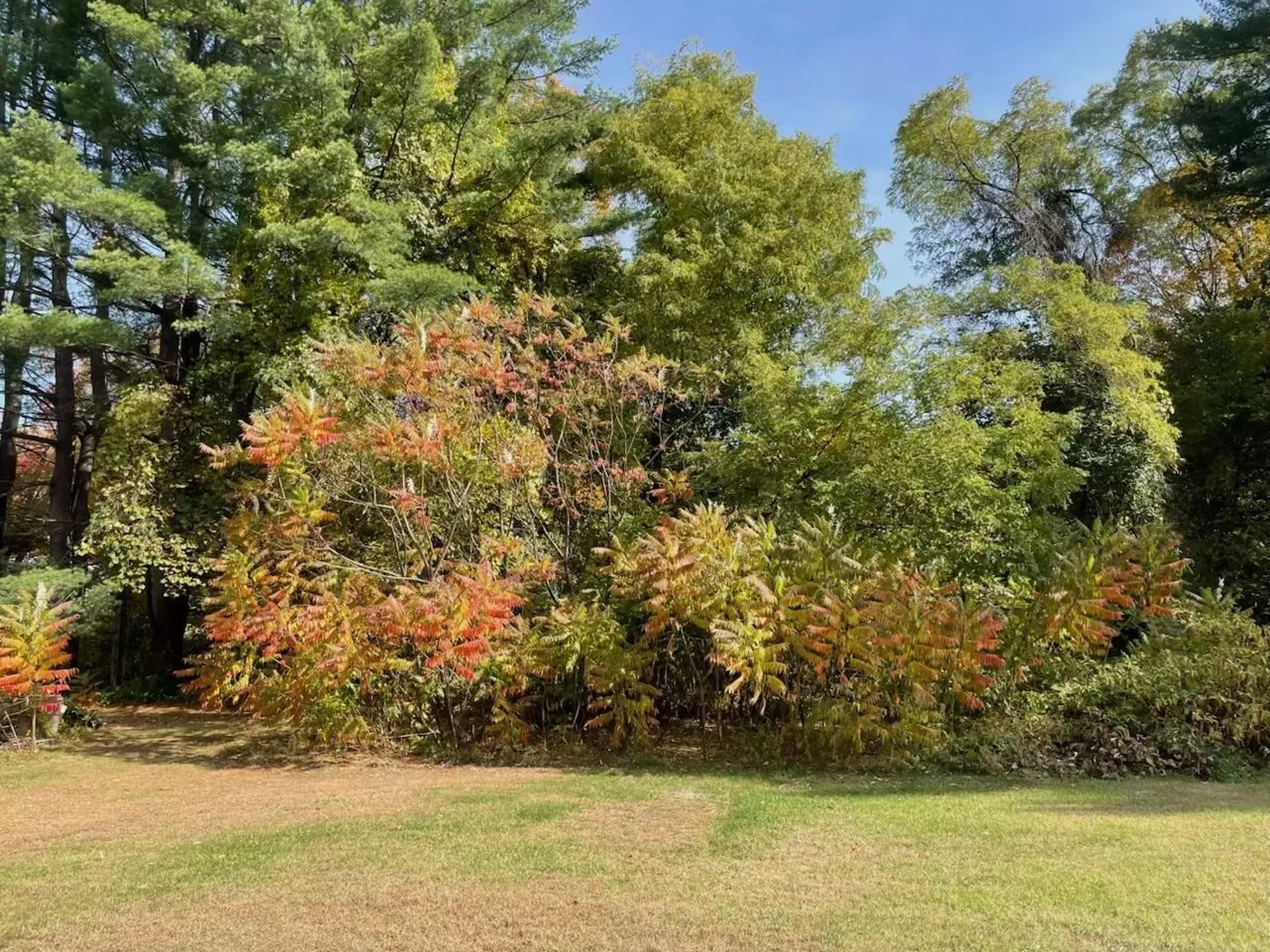 814 Brattleboro Road Hinsdale NH 03451