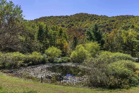 1098 West Sandgate Road Sandgate VT 05250