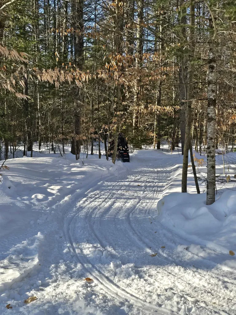 38 Webster Road Conway NH 03813