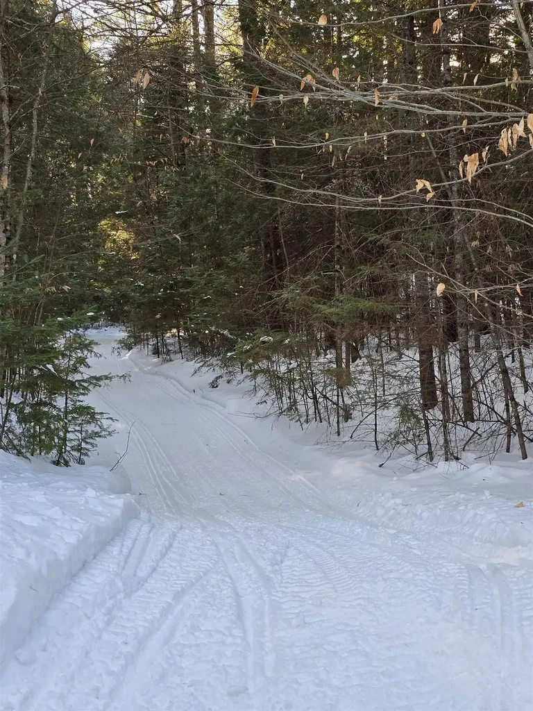 38 Webster Road Conway NH 03813