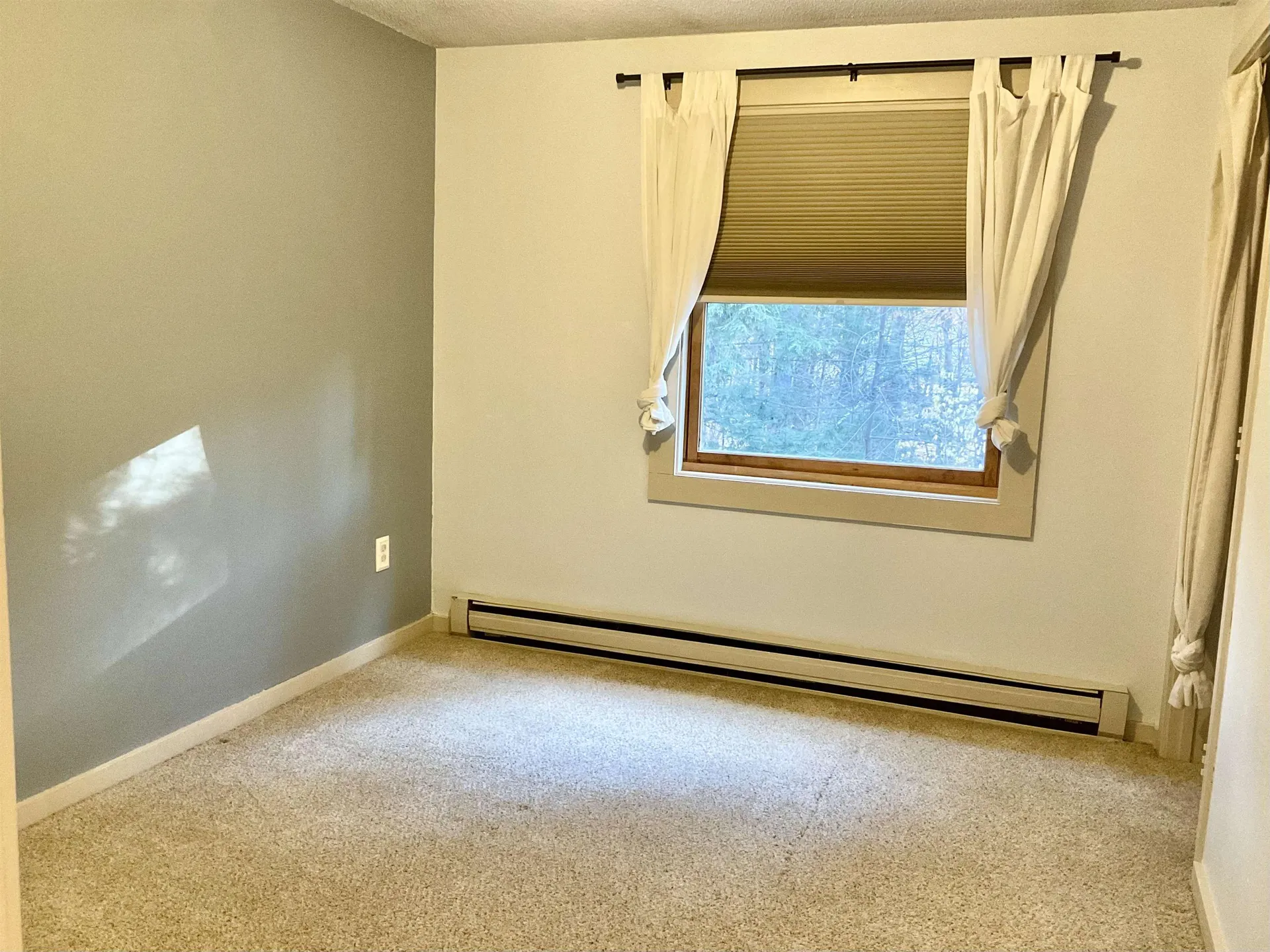 38 Webster Road Conway NH 03813