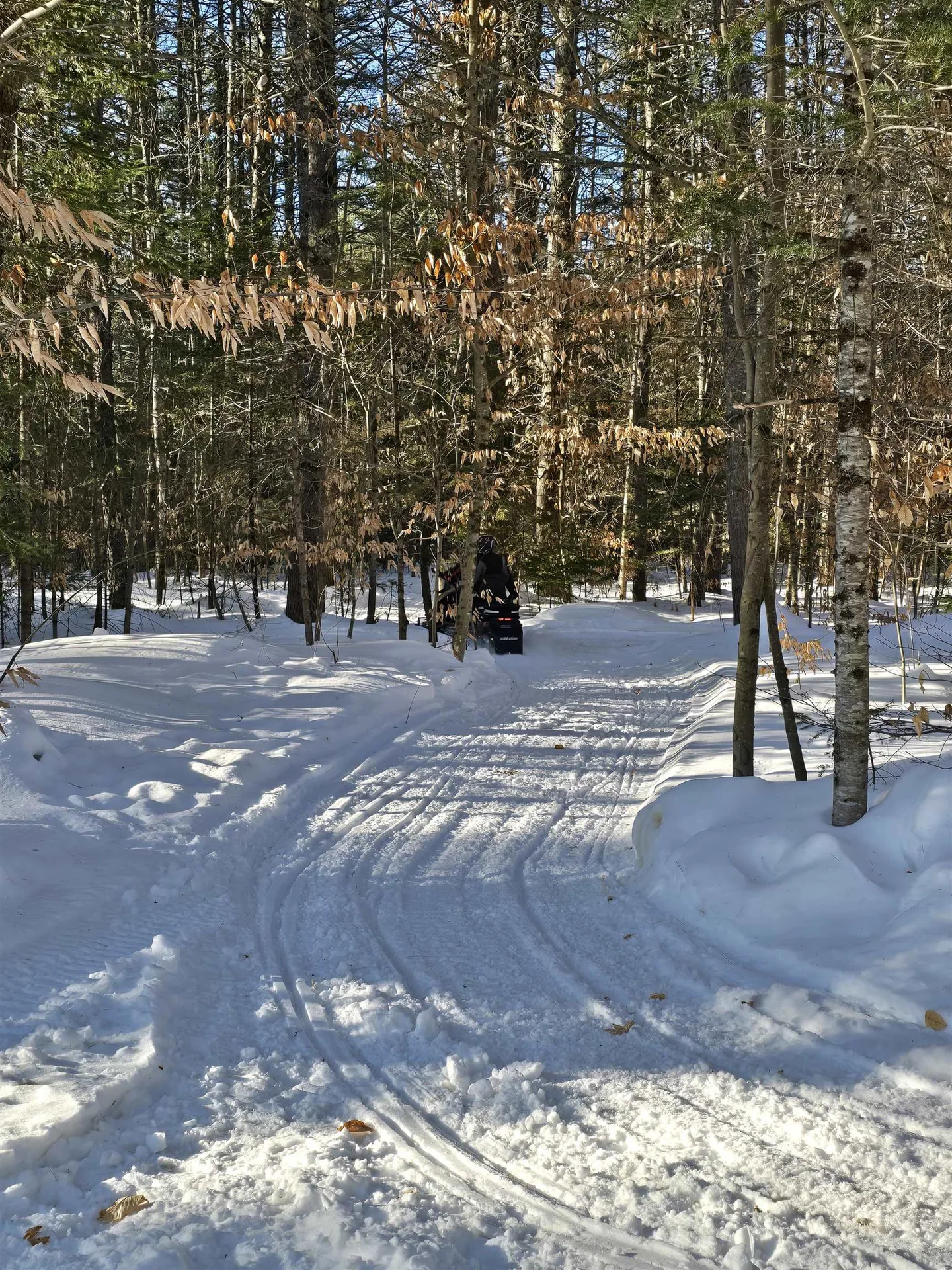 38 Webster Road Conway NH 03813