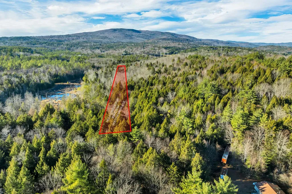 00 Borough Road Alexandria NH 03222