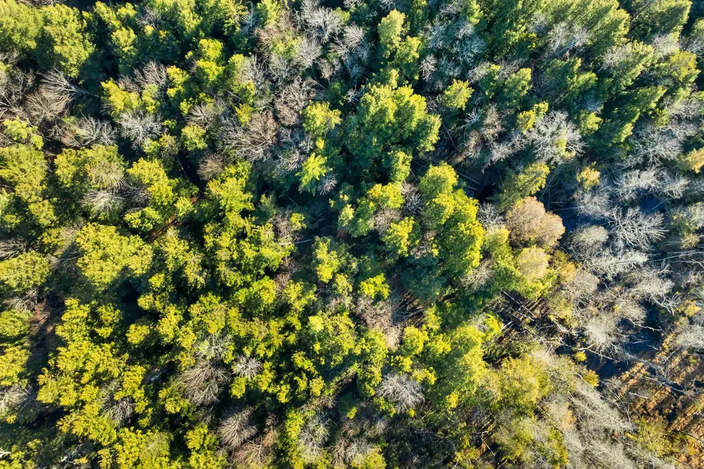 00 Borough Road Alexandria NH 03222