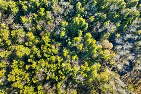 00 Borough Road Alexandria NH 03222