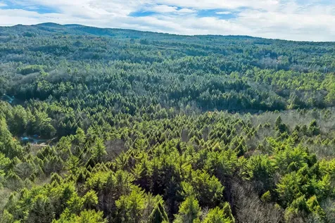 00 Borough Road Alexandria NH 03222