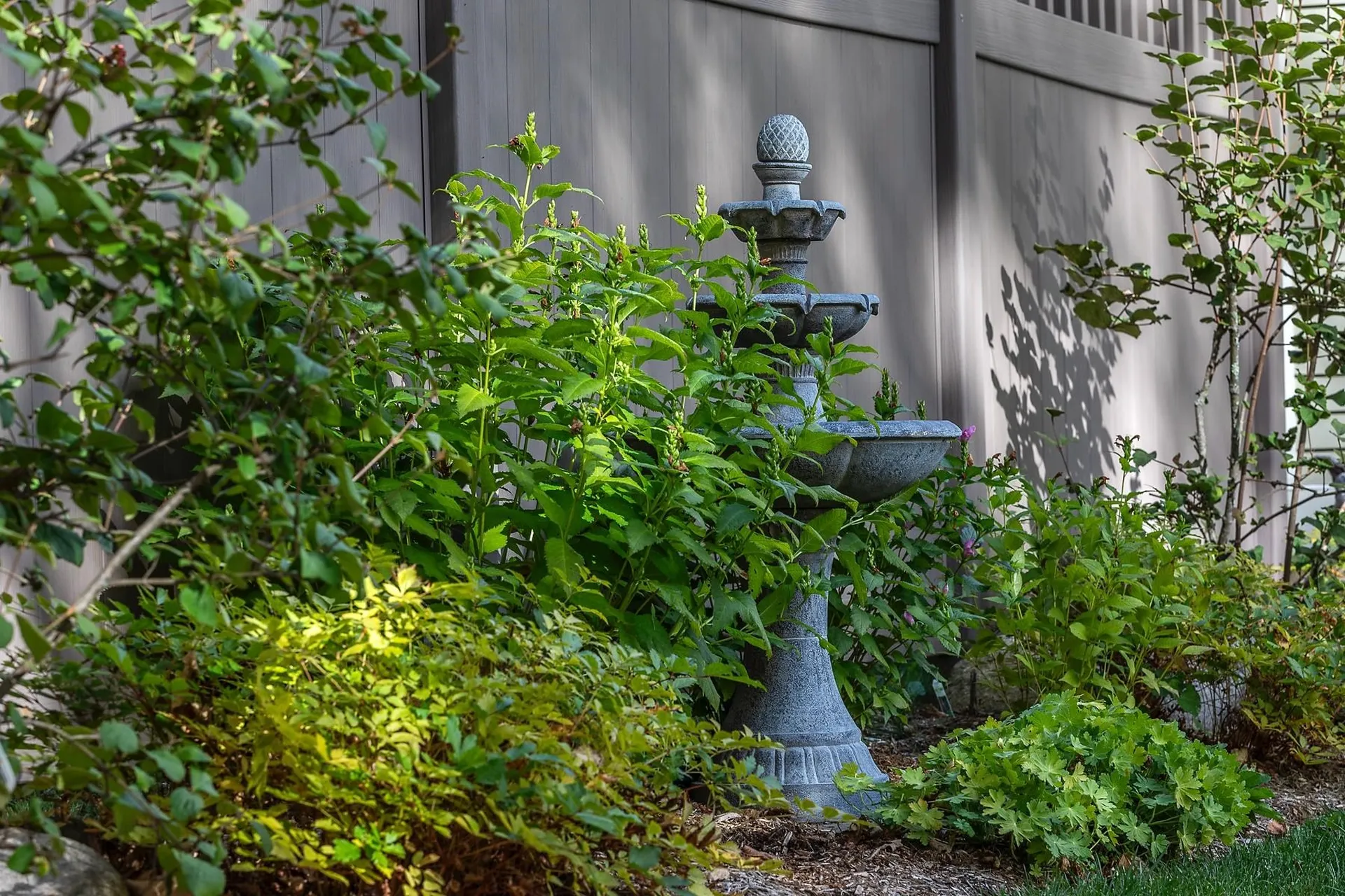 14 Gill Terrace Ludlow VT 05149