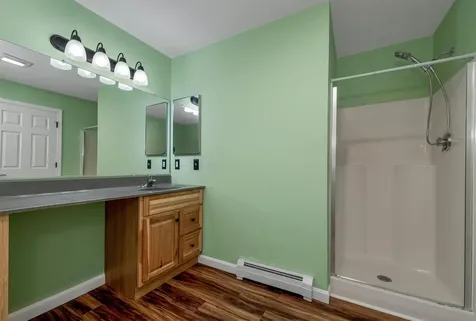 7 Cashell Lane Webster NH 03303