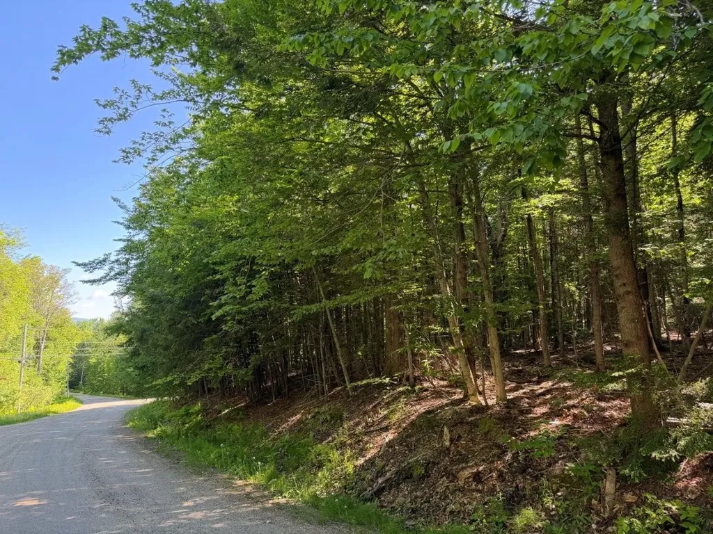 311 Beechwood Lane Peru VT 05152