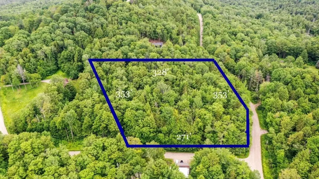311 Beechwood Lane Peru VT 05152