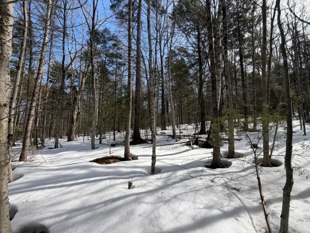 311 Beechwood Lane Peru VT 05152