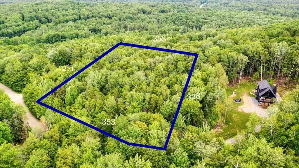 311 Beechwood Lane Peru VT 05152