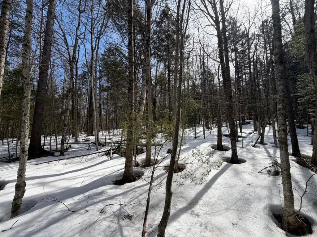 311 Beechwood Lane Peru VT 05152