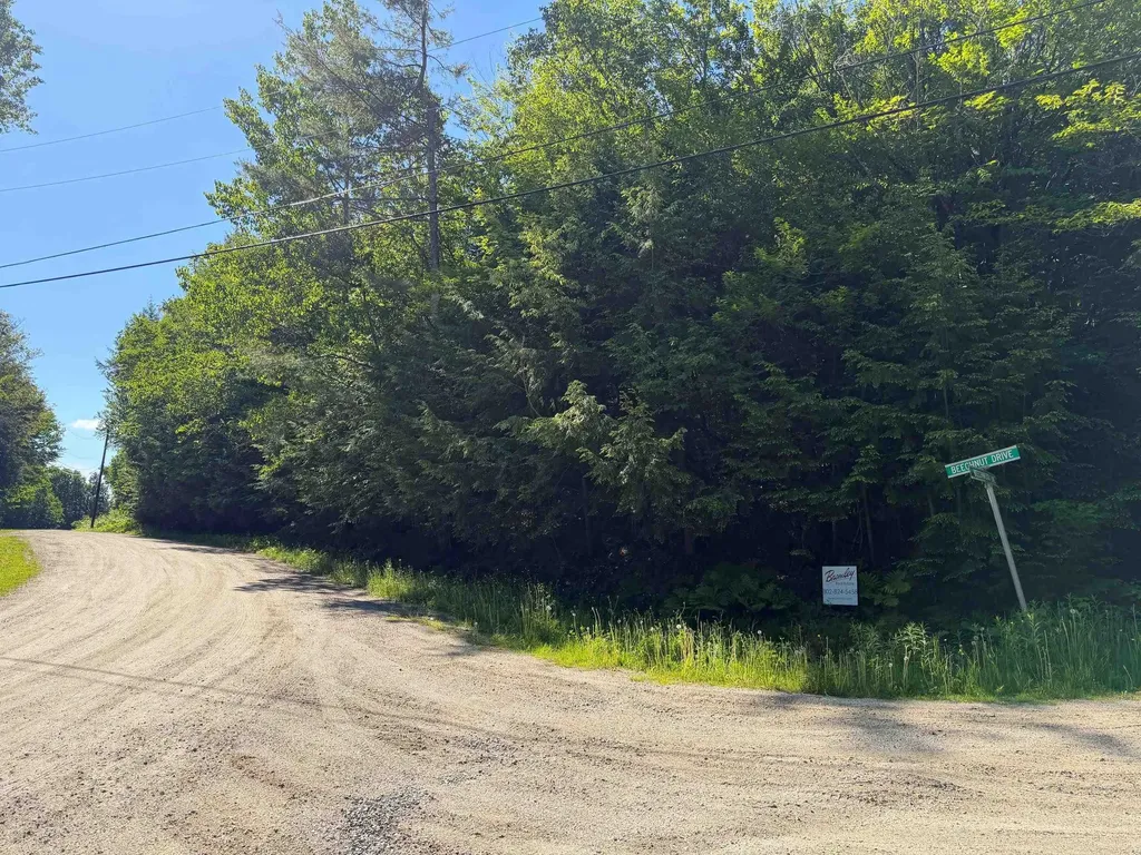 311 Beechwood Lane Peru VT 05152