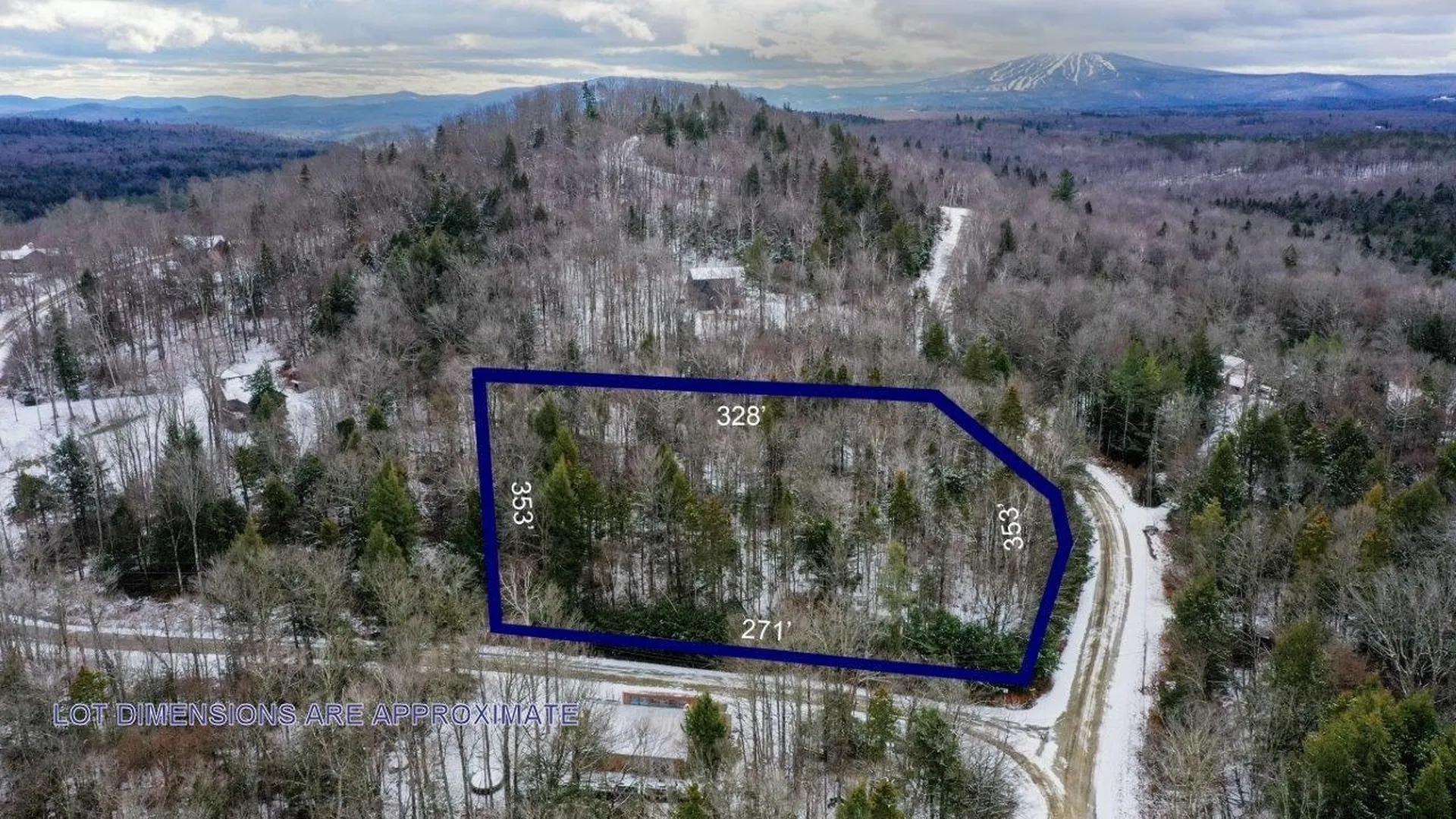 311 Beechwood Lane Peru VT 05152