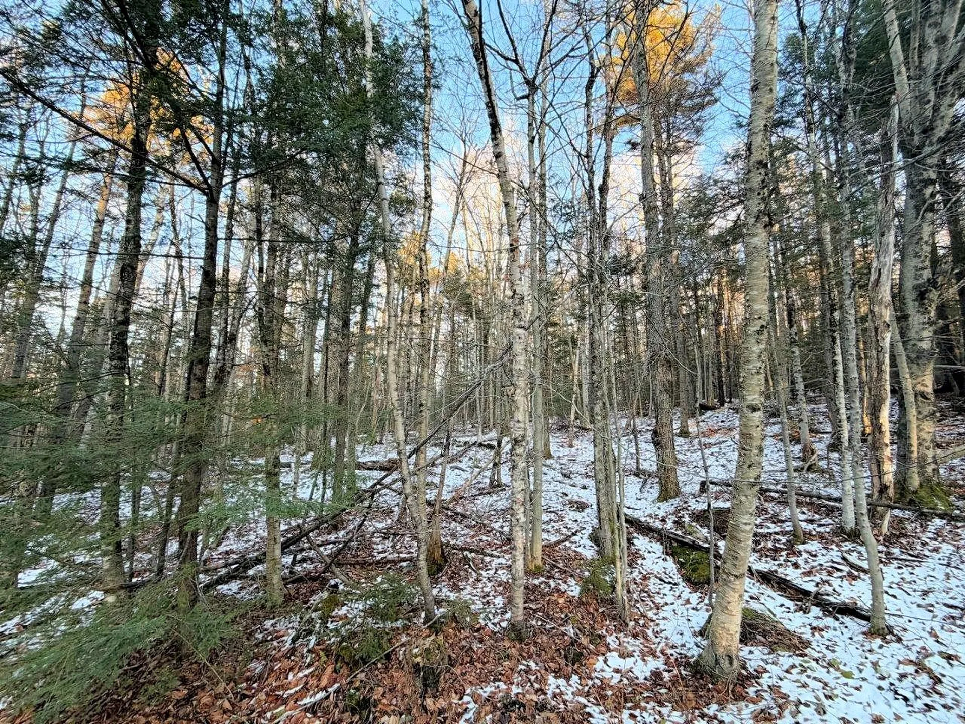 311 Beechwood Lane Peru VT 05152