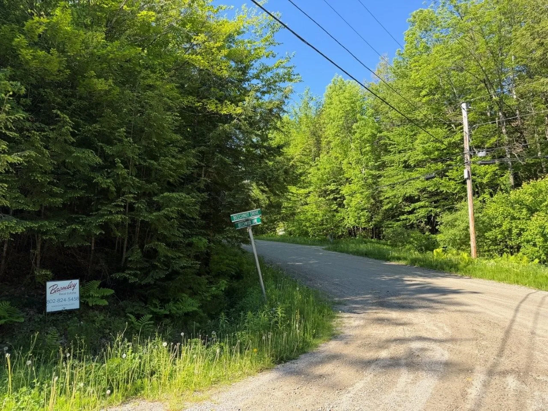 311 Beechwood Lane Peru VT 05152