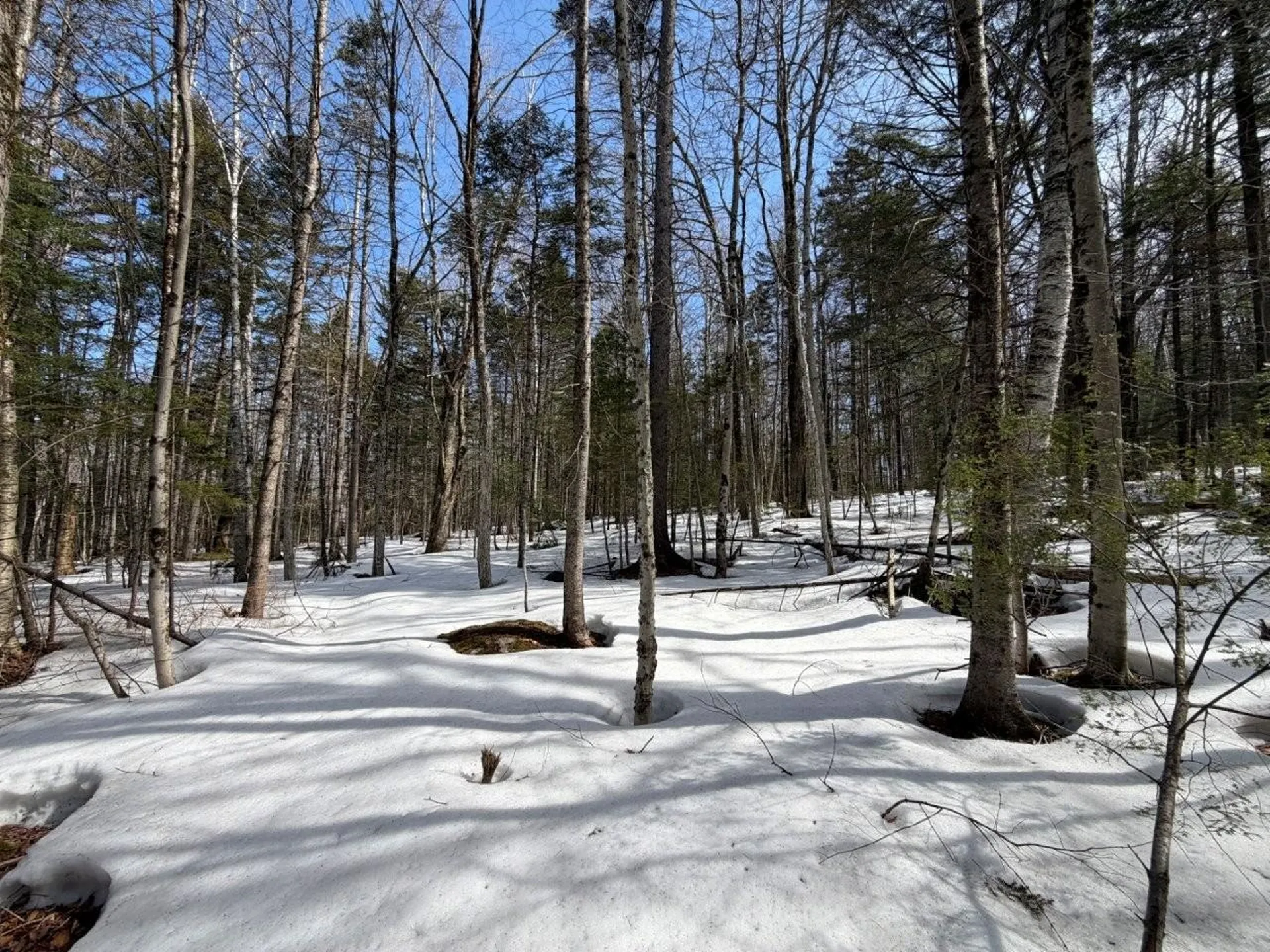 311 Beechwood Lane Peru VT 05152