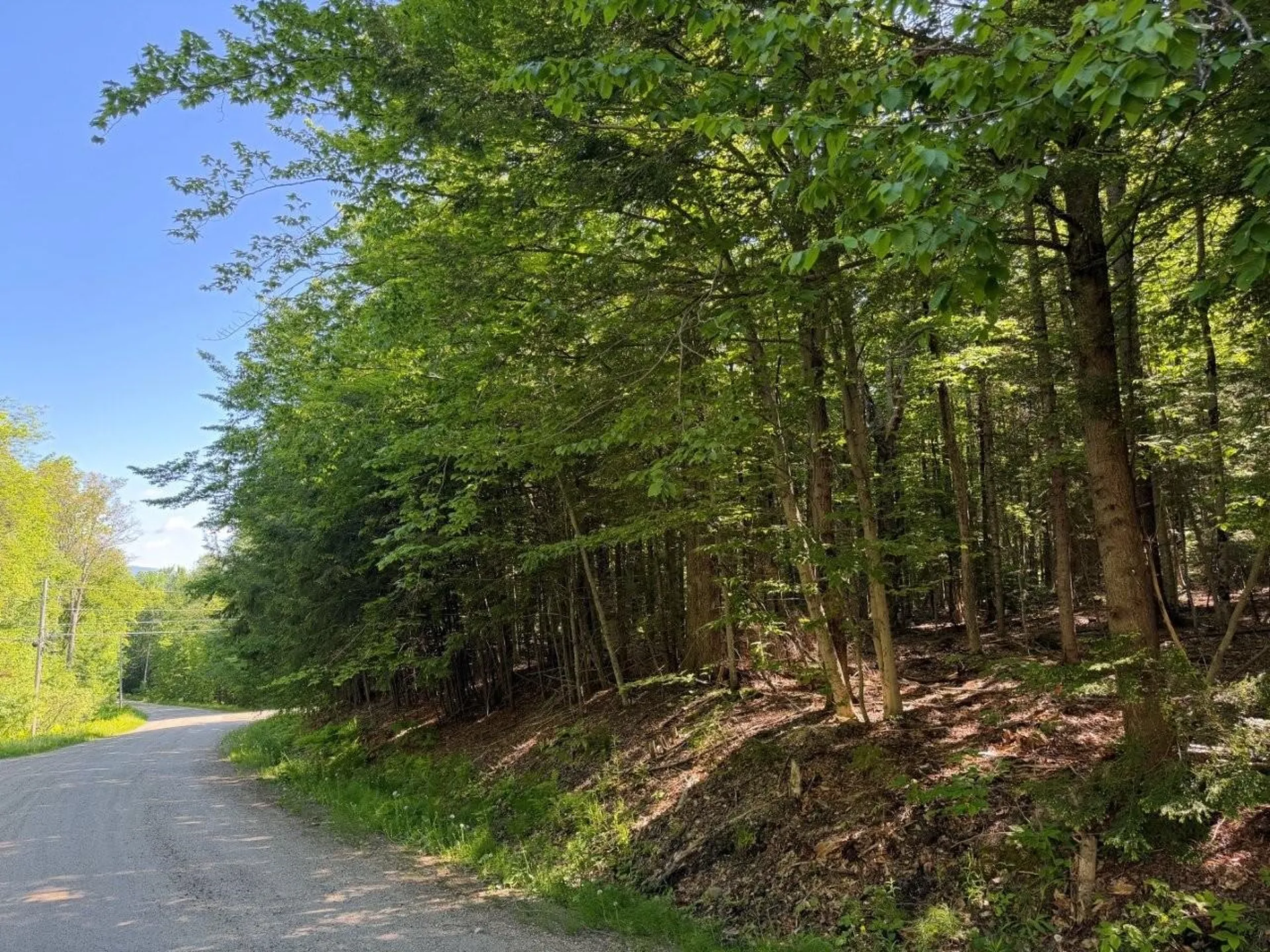 311 Beechwood Lane Peru VT 05152
