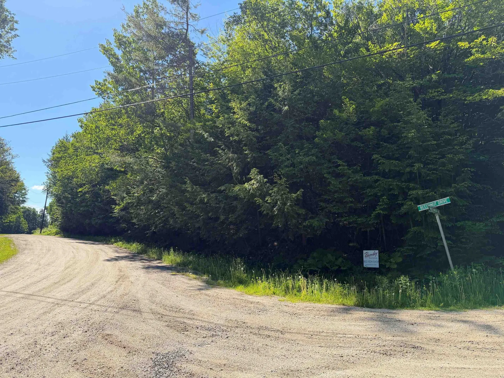 311 Beechwood Lane Peru VT 05152