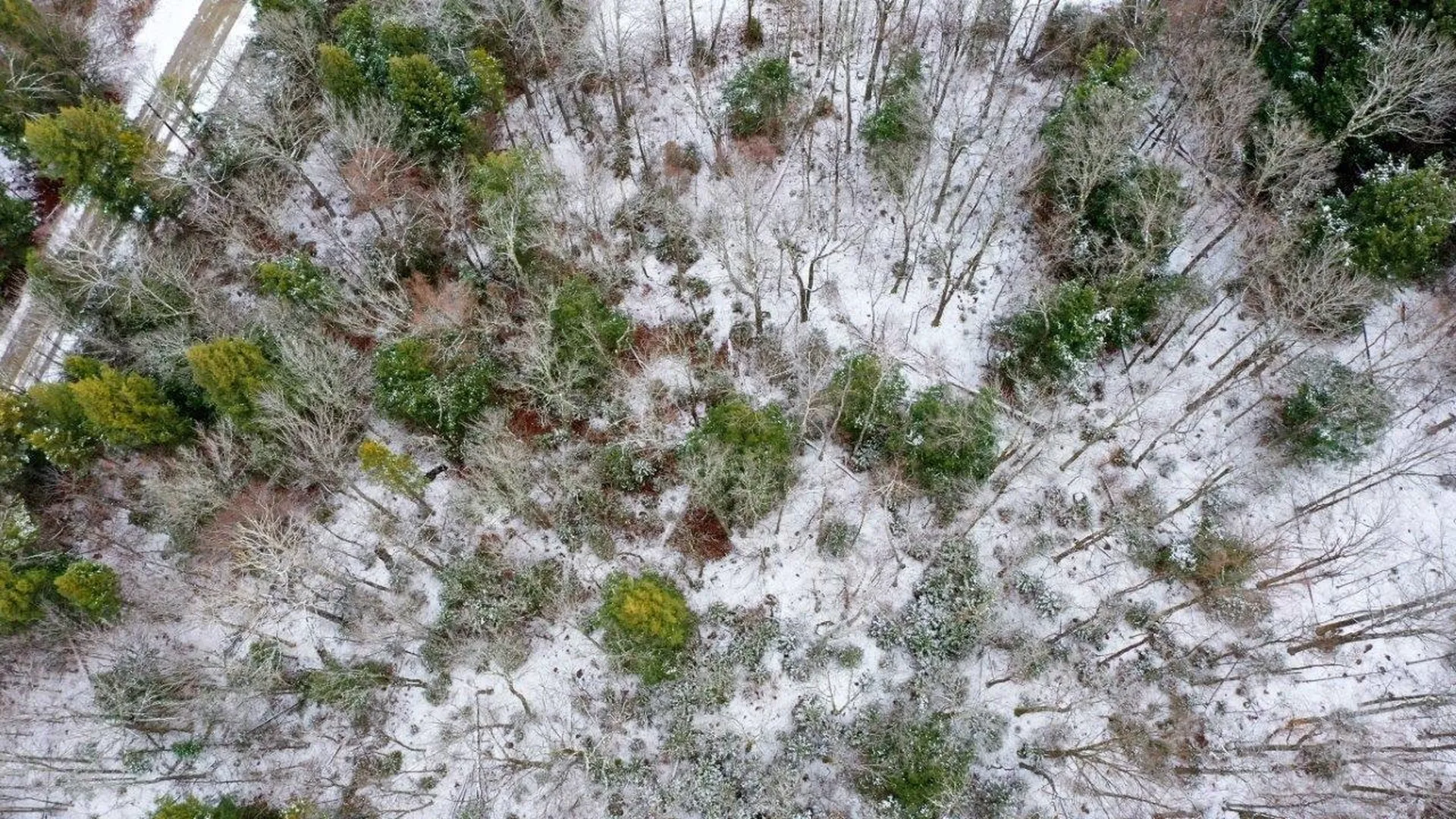 311 Beechwood Lane Peru VT 05152