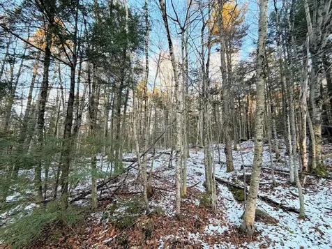 311 Beechwood Lane Peru VT 05152