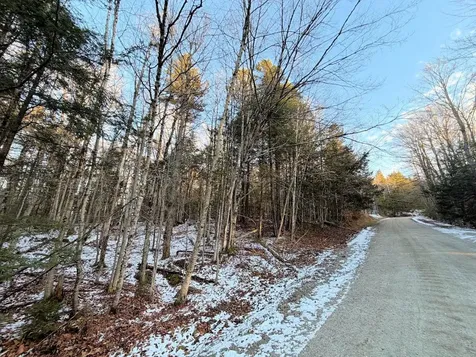 311 Beechwood Lane Peru VT 05152