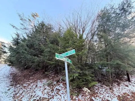 311 Beechwood Lane Peru VT 05152