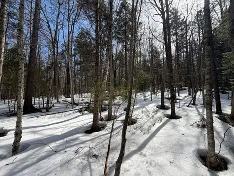311 Beechwood Lane Peru VT 05152