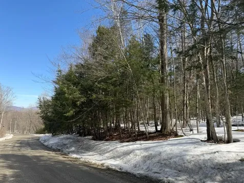 311 Beechwood Lane Peru VT 05152