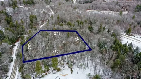 311 Beechwood Lane Peru VT 05152