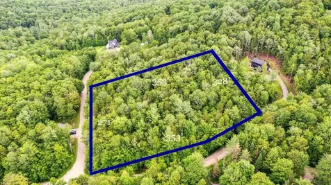 311 Beechwood Lane Peru VT 05152