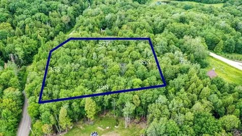 311 Beechwood Lane Peru VT 05152
