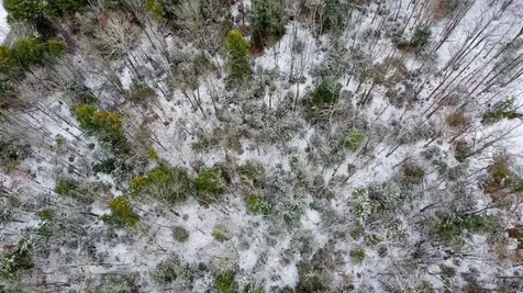 311 Beechwood Lane Peru VT 05152