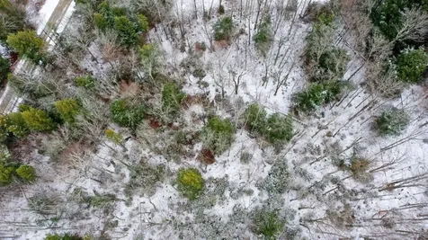 311 Beechwood Lane Peru VT 05152