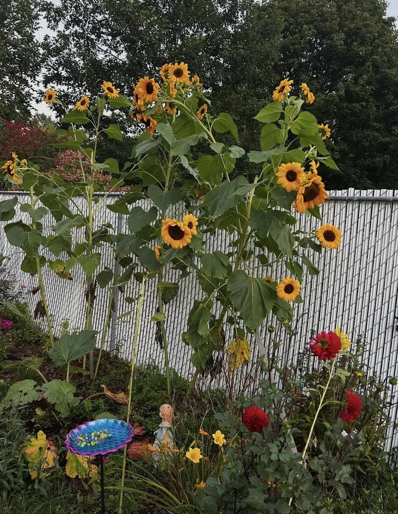 18 Stanton Court Keene NH 03431